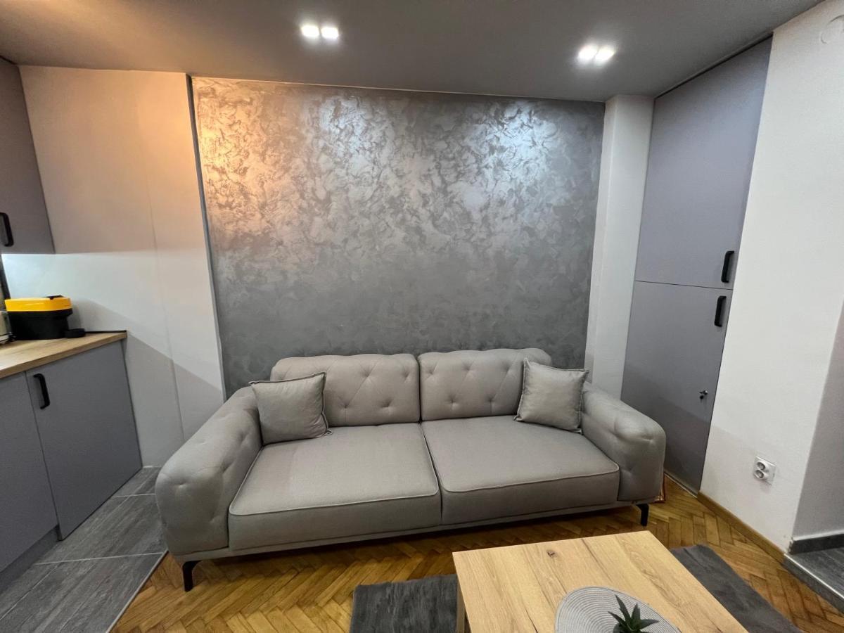 Central Sky View Apartment 贝尔格莱德 外观 照片