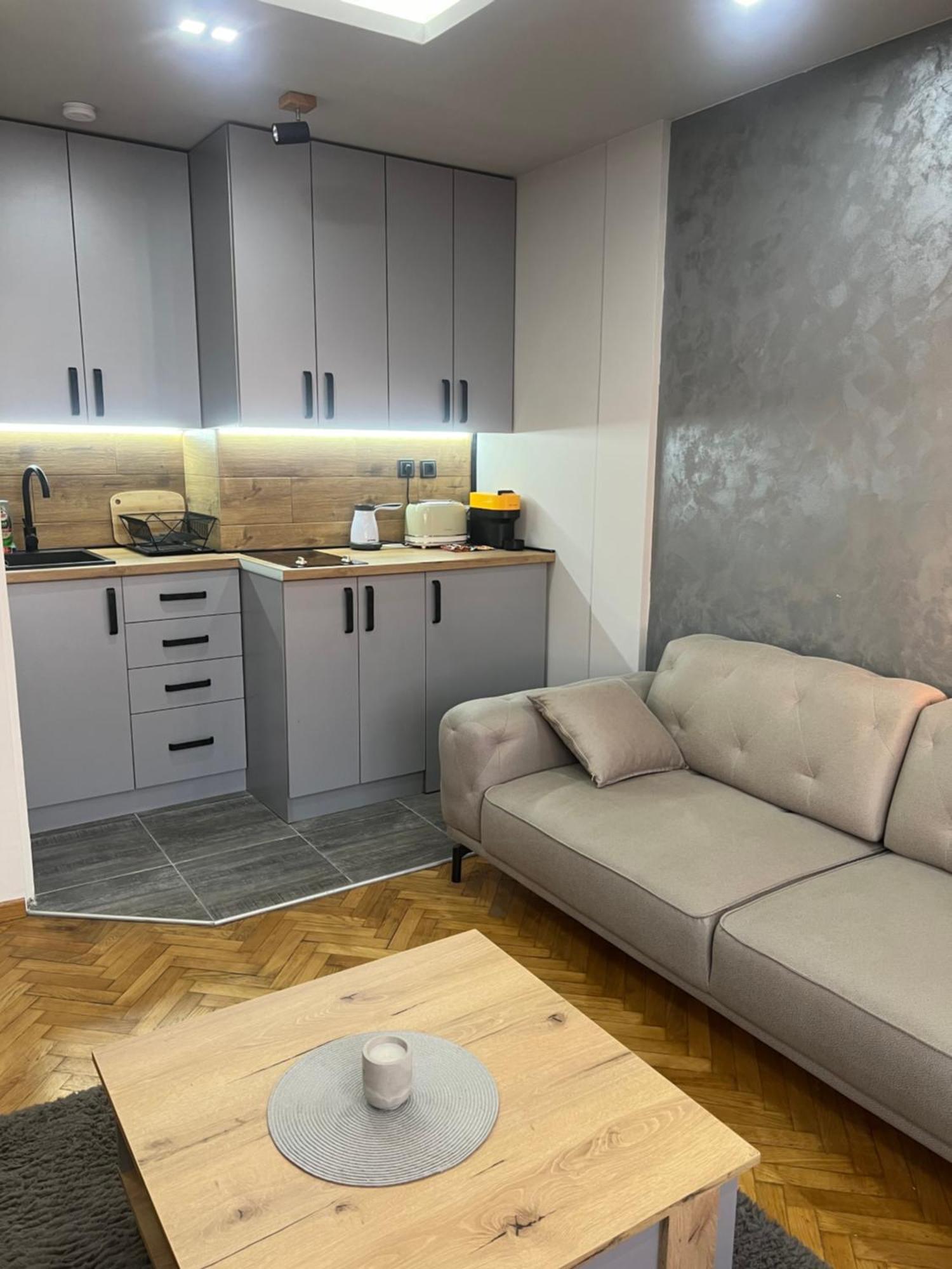 Central Sky View Apartment 贝尔格莱德 外观 照片